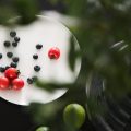 深圳福田家庭新房裝修設(shè)計(jì)效果圖