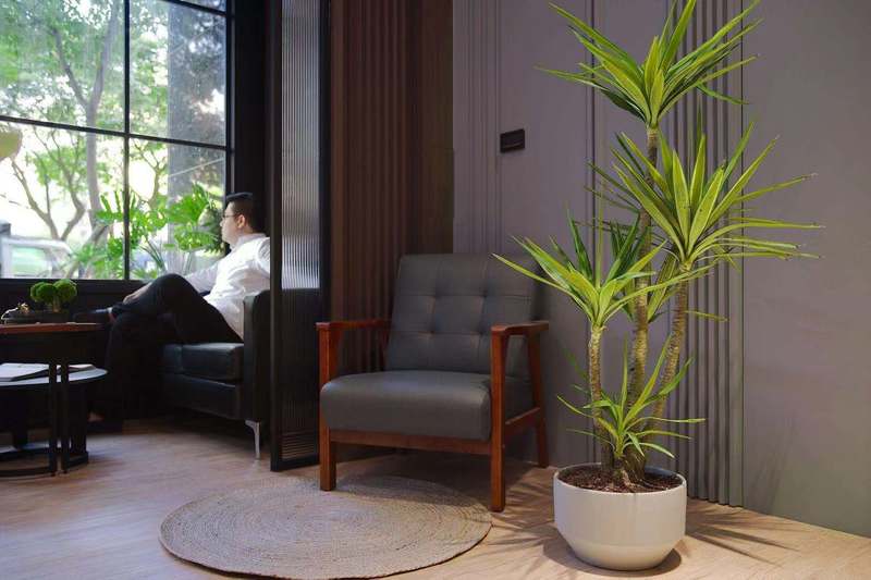 寶安華僑城瑞灣府簡約風(fēng)格辦公室裝修綠植裝飾